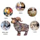 The twelve zodiac The cute little lamb animals Wooden Jigsaw Puzzles Adult, Teens, Family, Animal Shaped Natural Wood Puzzle, Best Christmas Gift And Family Games Magic Wooden Puzzle, Toys